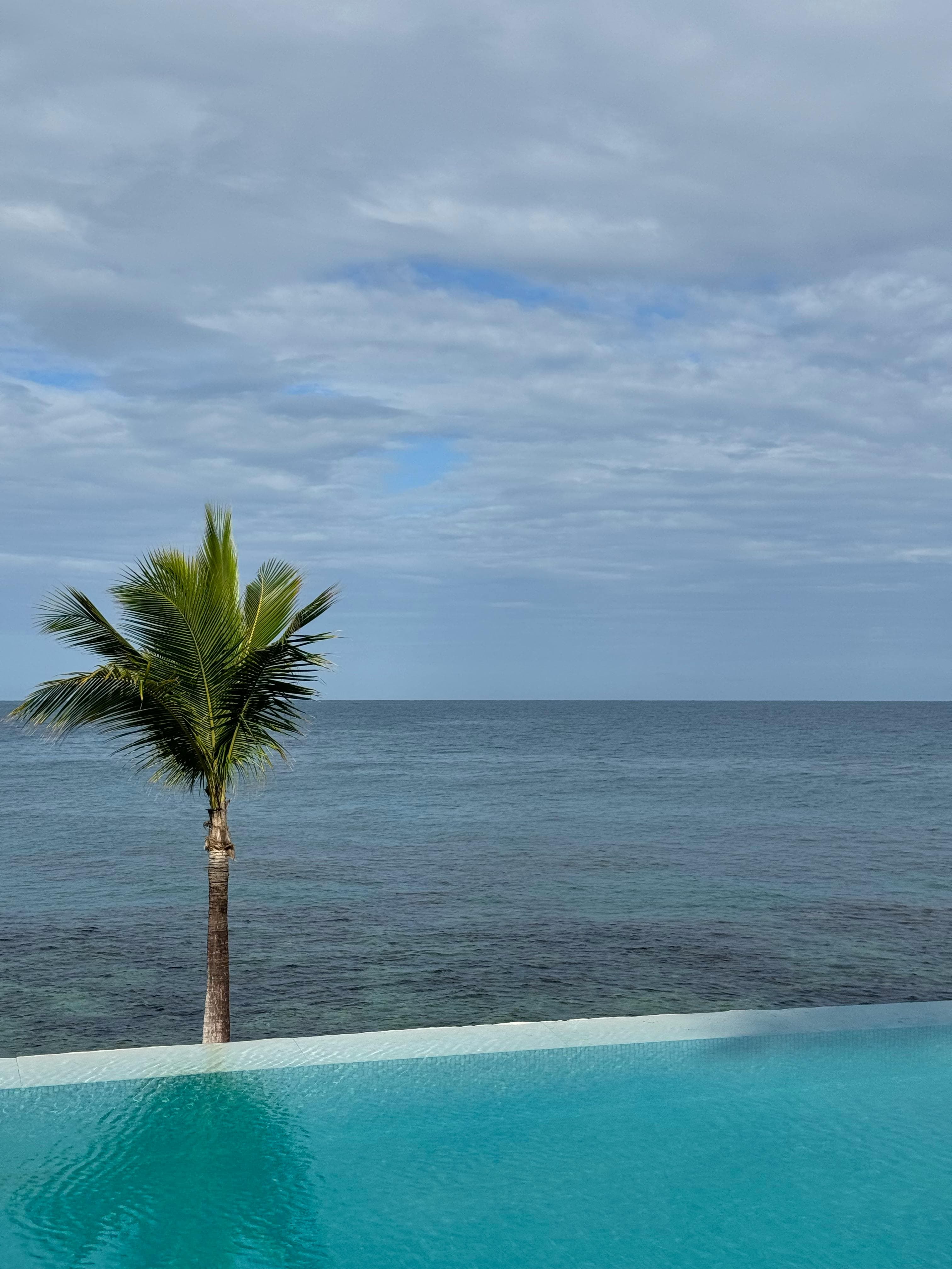 Cyclist on a mountain trail